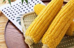 Boiled corn in a slow cooker in grains How to cook frozen ears of corn