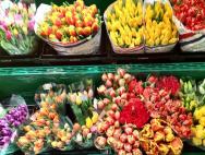 Kako otvoriti cvećarski biznis i da li je to isplativo
