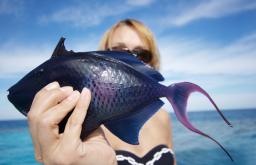 De ce visezi la pește uscat conform interpretării cărților de vis